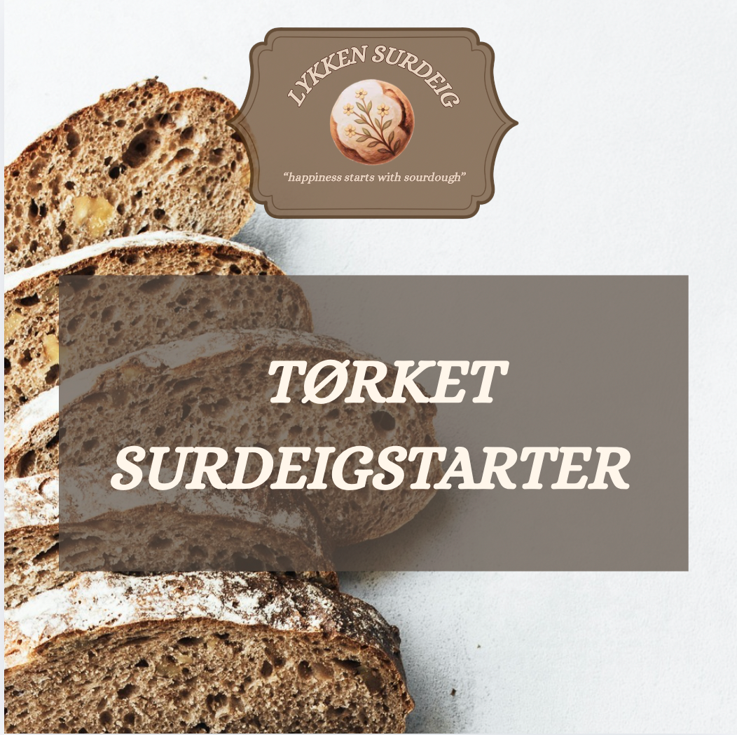 Tørket Surdeigsstarter