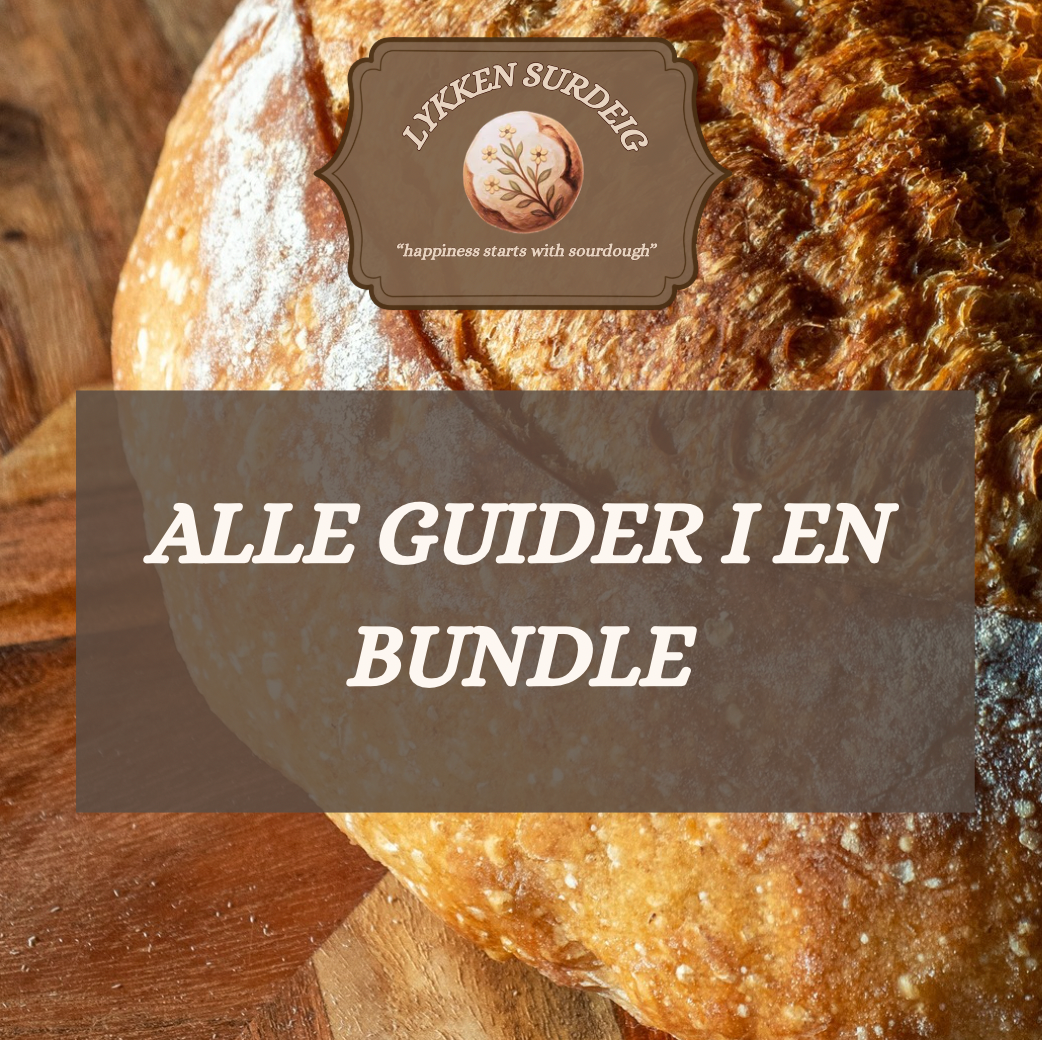 Fra starter til perfekt brød – komplett guide (digitalt produkt)