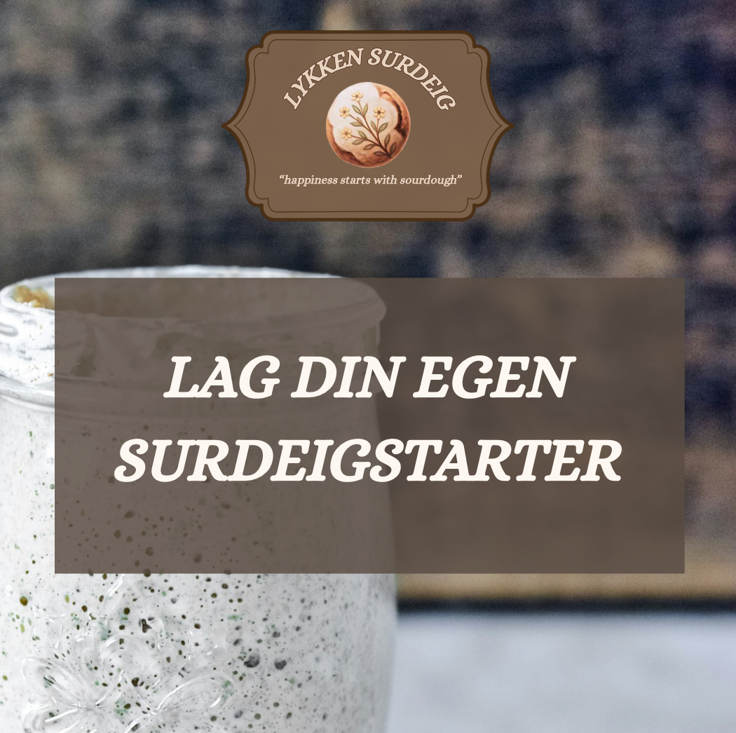 Hvordan lage din egen surdeigsstarter! (Digitalt produkt)