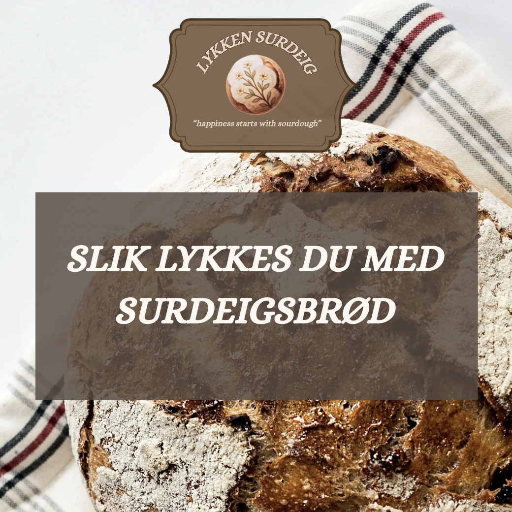 Slik lykkes du med surdeigsbrød hjemme! (Digitalt produkt)