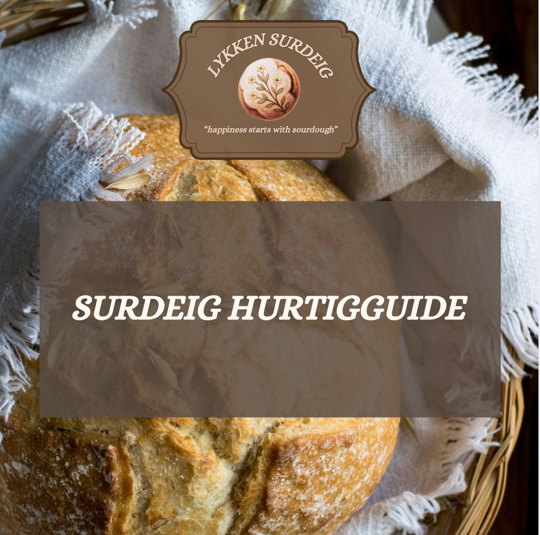 Surdeig hurtigguide!